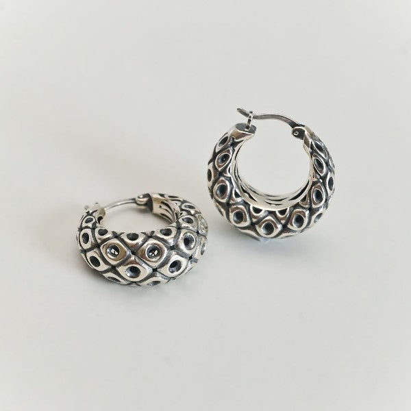 Aurora Sparkle Earrings